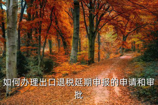 出口退稅申報(bào)延期需要什么資料，如何辦理出口退稅延期申報(bào)的申請(qǐng)和審批