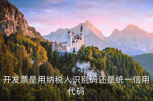 發(fā)票上的信用代碼是什么，現(xiàn)在開發(fā)票要的社會(huì)信用代碼是誰的代碼
