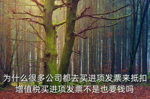 為什么很多公司都去買(mǎi)進(jìn)項(xiàng)發(fā)票來(lái)抵扣增值稅買(mǎi)進(jìn)項(xiàng)發(fā)票不是也要錢(qián)嗎
