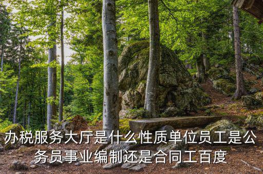 什么是辦稅服務(wù)大廳，辦稅服務(wù)廳的基本服務(wù)包括哪些