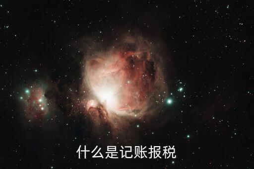 報(bào)稅記錄是指什么，報(bào)稅是什么意思 報(bào)稅的含義