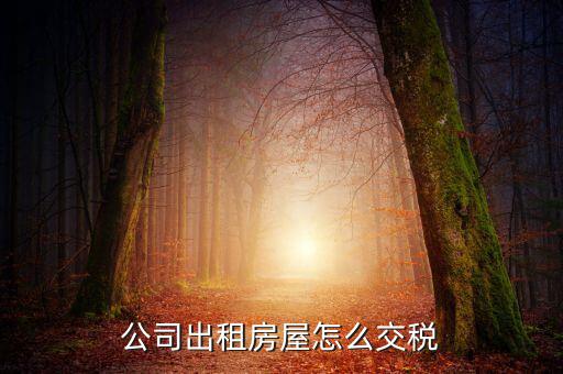 企業(yè)承租房屋交什么稅，公司租賃房屋需要交哪些稅