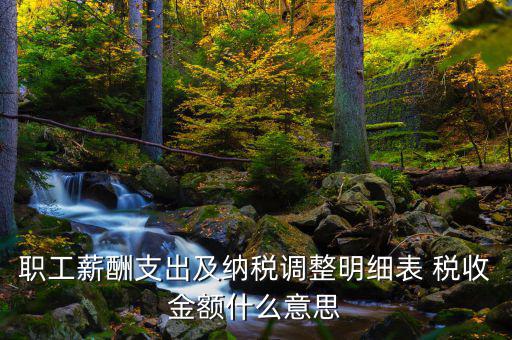 什么是納稅調(diào)整金額，職工薪酬支出及納稅調(diào)整明細(xì)表 稅收金額什么意思