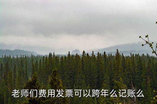 什么發(fā)票可以跨年入賬，增值稅專用發(fā)票可以跨年做賬嗎