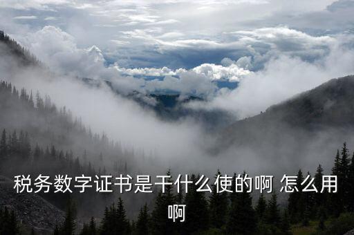 安徽國稅局?jǐn)?shù)字證書是什么意思，稅務(wù)數(shù)字證書是干什么使的啊 怎么用啊