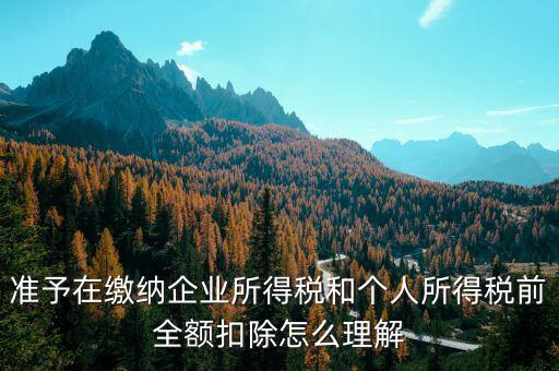 準(zhǔn)予在繳納企業(yè)所得稅和個人所得稅前全額扣除怎么理解