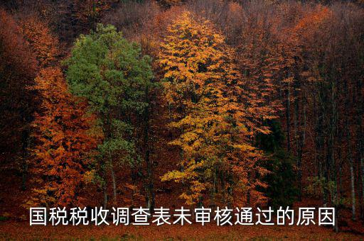 國稅網(wǎng)為什么查不到預(yù)審信息，在國稅上我明明已經(jīng)申報(bào)過了為什么查詢不出來