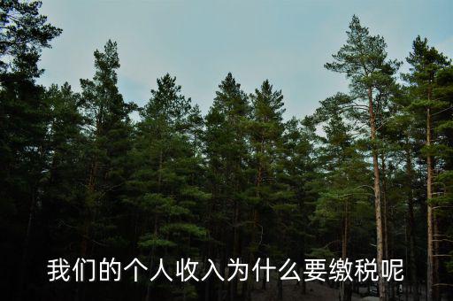為什么要上個人所得稅，我們的個人收入為什么要繳稅呢