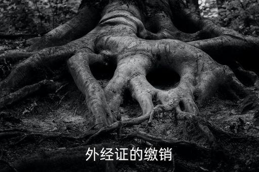 廈門繳銷外經(jīng)證國稅什么資料，廈門國稅需銷項合同是什么