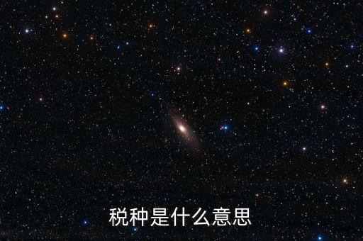 維護稅種什么意思，稅總維護是什么意思