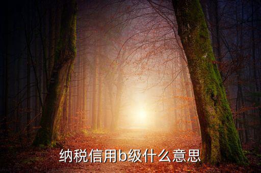國稅信用評(píng)級(jí)是b 是什么意思，納稅信用等級(jí)評(píng)定為B級(jí) 什么意思呢有什么說法嗎
