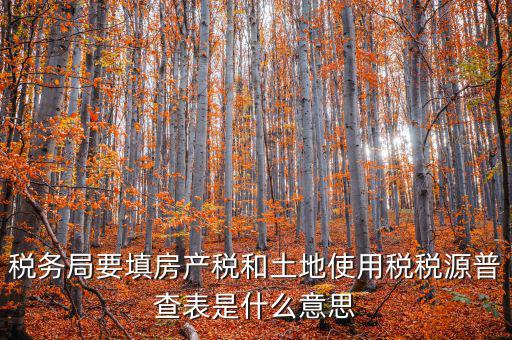國稅局普查什么意思，最近稅務普查是什么