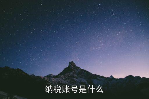 河北地稅賬號(hào)是什么意思，稅務(wù)賬號(hào)是什么