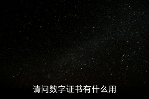 請(qǐng)問(wèn)數(shù)字證書(shū)有什么用
