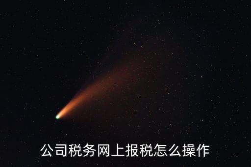 企業(yè)報(bào)稅登什么網(wǎng)站，企業(yè)稅務(wù)申報(bào)去哪個(gè)網(wǎng)站