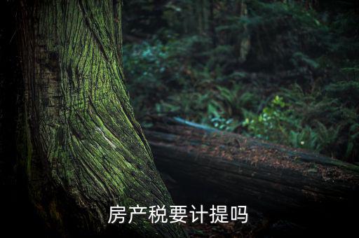 房產(chǎn)稅列入什么費(fèi)用，房產(chǎn)稅要計(jì)提嗎