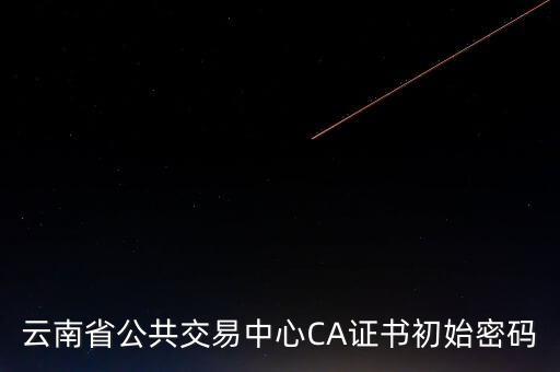 ca原始密碼登錄是什么，蘇州投標ca初始密碼