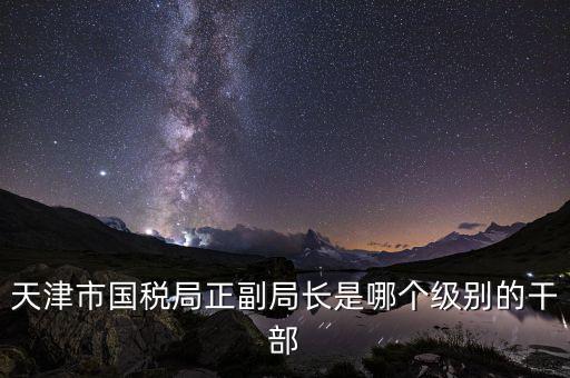 國(guó)稅局副局長(zhǎng)是什么級(jí)別，天津市國(guó)稅局正副局長(zhǎng)是哪個(gè)級(jí)別的干部
