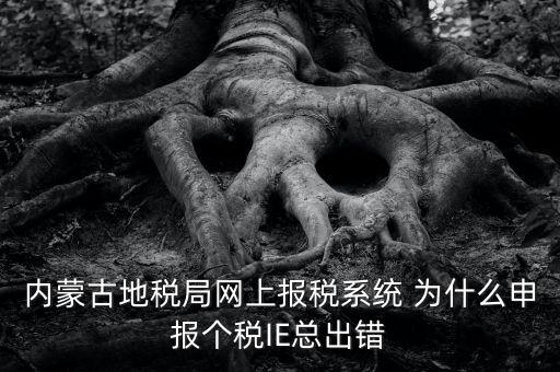 為什么內(nèi)蒙古國地稅網(wǎng)進(jìn)不去，windows7內(nèi)蒙古地稅報(bào)稅系統(tǒng)顯示無法顯示該網(wǎng)頁