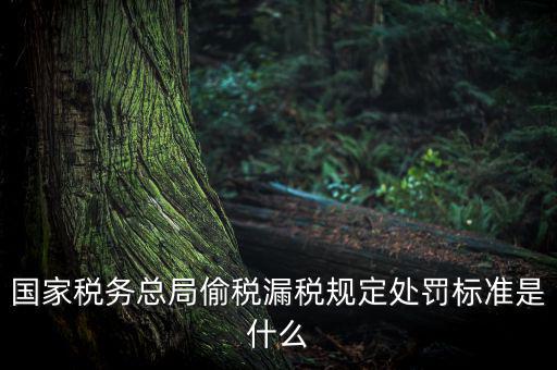 四稽國稅罰是什么意思，國稅局罰款結案是什么意思