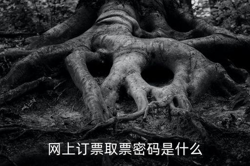網(wǎng)絡(luò)發(fā)票密碼是什么，發(fā)票上密碼有什么用