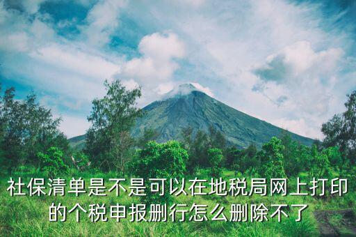 社保清單是不是可以在地稅局網(wǎng)上打印的個稅申報(bào)刪行怎么刪除不了