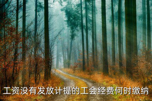 工會(huì)經(jīng)費(fèi)什么時(shí)候開(kāi)始繳納，印花稅工會(huì)經(jīng)費(fèi)一般什么時(shí)候繳納