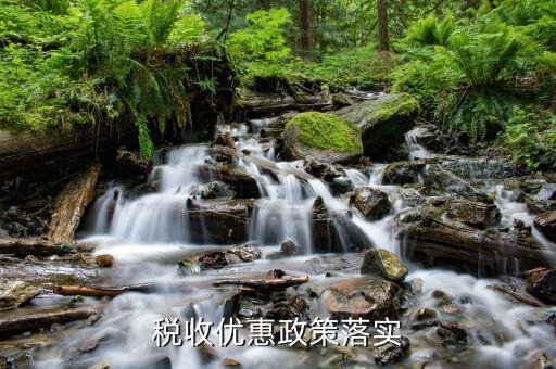 納稅人政策落實需求有什么，如何落實稅收優(yōu)惠政策