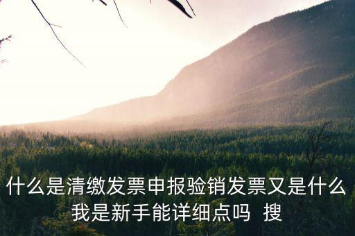 什么是清繳發(fā)票申報驗銷發(fā)票又是什么我是新手能詳細點嗎  搜