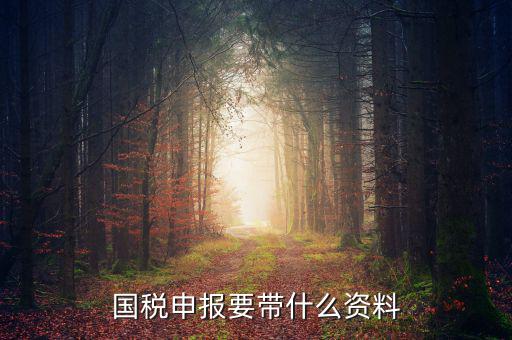 國(guó)稅注冊(cè)需要什么資料，國(guó)稅登記需要帶什么資料