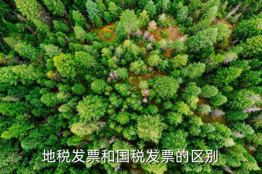 什么是國稅發(fā)票，國稅發(fā)票和增值稅專用發(fā)票的區(qū)別是什么