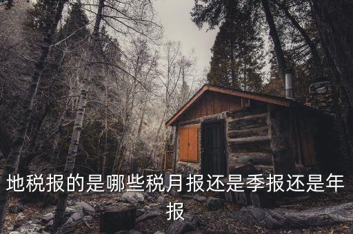 2017地稅月報的有什么，公司是小規(guī)模納稅人月報和季報時國稅和地稅各需報什么  搜