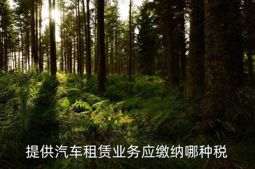 個(gè)人出租汽車給公司交什么稅，個(gè)人車輛租給公司個(gè)稅怎么交