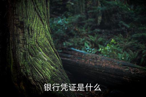 銀行劃款憑證是什么，銀行憑證是什么