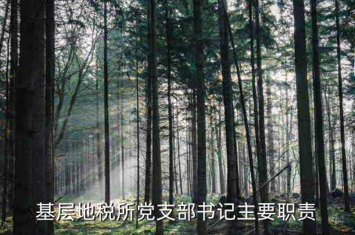 地稅所主體責(zé)任任務(wù)是什么，契稅和耕地占用稅稅務(wù)所的職責(zé)