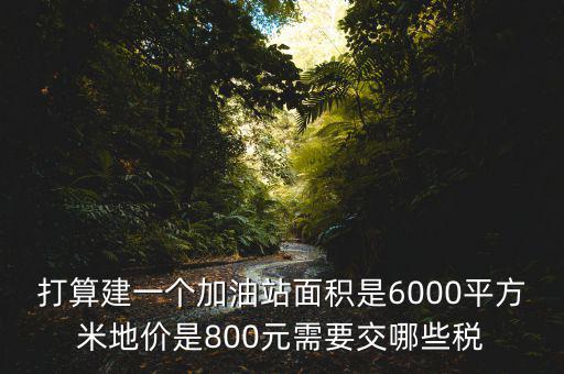 加油站都繳什么稅，打算建一個加油站面積是6000平方米地價是800元需要交哪些稅