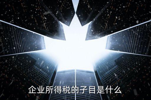 企業(yè)所得稅征收品目是什么，征收品目是什么