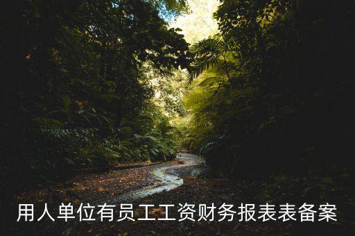財務(wù)備案是什么意思，備案是什么意思
