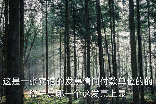 這是一張賓館的發(fā)票請(qǐng)問(wèn)付款單位的的稅號(hào)是哪一個(gè)這發(fā)票上顯