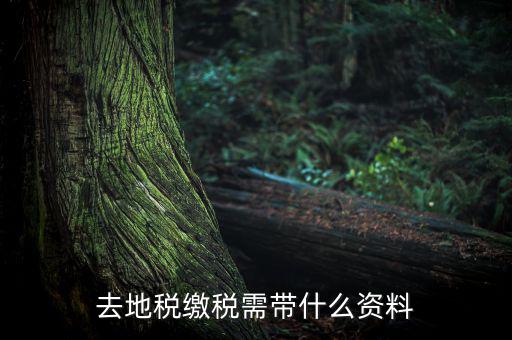 無錫地稅需要帶什么材料，去地稅繳稅需帶什么資料