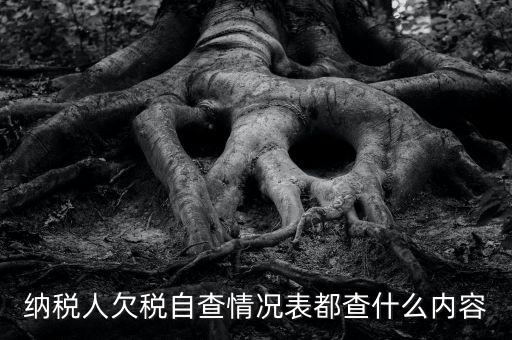 納稅人欠稅自查情況表都查什么內容