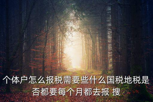 個(gè)體戶報(bào)稅都報(bào)什么，個(gè)體戶怎么報(bào)稅需要些什么國稅地稅是否都要每個(gè)月都去報(bào) 搜
