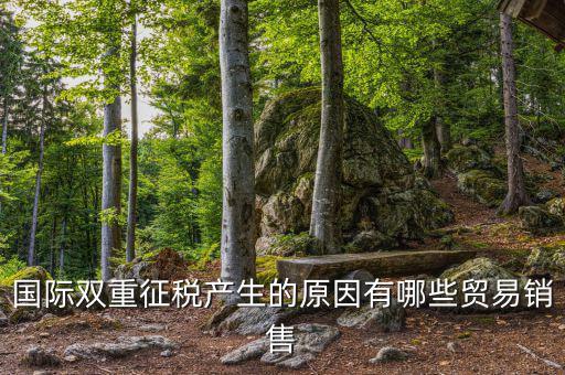 志信稅是什么原因，買(mǎi)房子經(jīng)常提到有無(wú)雙稅雙稅是什么