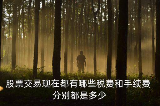 賣出股票要交什么稅，營(yíng)改增后企業(yè)買賣股票應(yīng)按照什么稅目繳納增值稅