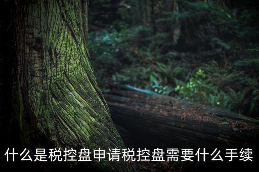 稅控盤制證是什么，去稅務局辦理稅控盤需要什么資料流程怎么走呢