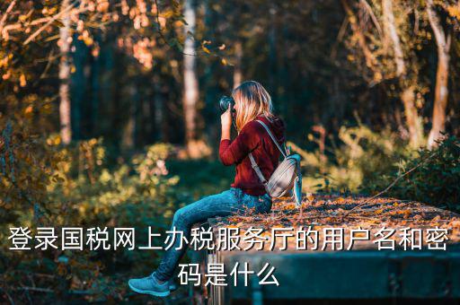 陜西電子稅務局登錄賬號是什么，登錄國稅網上辦稅服務廳的用戶名和密碼是什么
