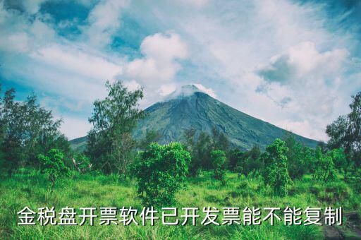 什么發(fā)票能進(jìn)行復(fù)制發(fā)票操作，如何將Excel中制作的發(fā)票專業(yè)發(fā)票復(fù)制到Word文檔中并且格式