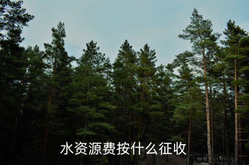 水資源稅實行什么征收，水資源費按什么征收
