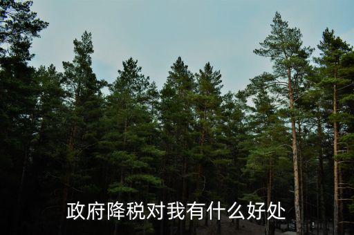 減稅有什么調(diào)節(jié)作用，政府降稅對我有什么好處