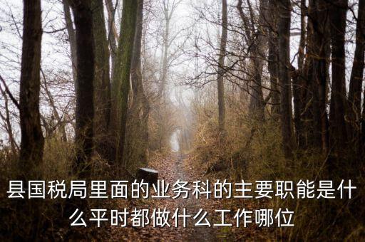 什么是稅政工作，縣國(guó)稅局里面的業(yè)務(wù)科的主要職能是什么平時(shí)都做什么工作哪位
